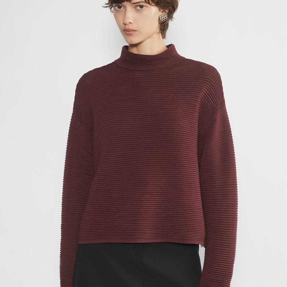 Babaton Aritzia Ambrosio Turtleneck